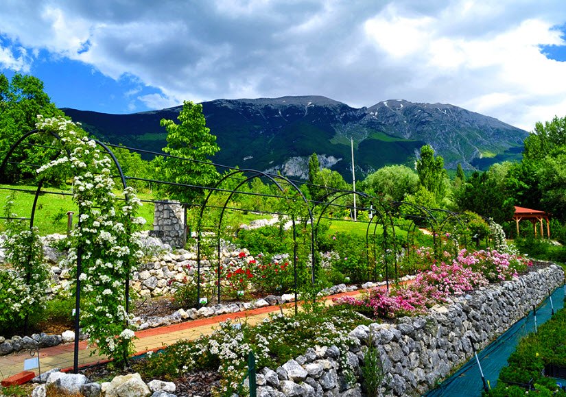 Giardino Botanico Daniela Brescia, Italy